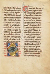 A Swallow by Unbekannt Unbekannt
